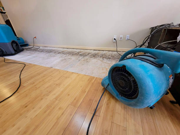 Professional Ceiling Water Damage Repair technician working in Mingus, TX